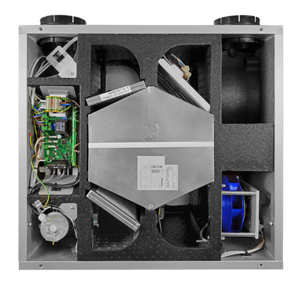 Reversus - Image 4